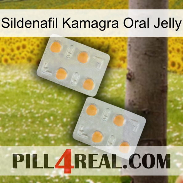Sildenafil Kamagra Oral Jelly 25
